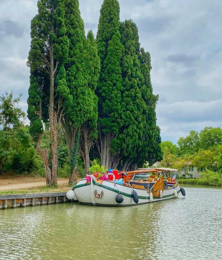 Bijou Surdespine Historic 4 Cathar Chateaux Lastours 3 Star Air Conditioned Riverside Garden Ngoại thất bức ảnh